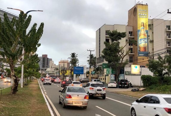 megaempena_avcolaresmoreira_01_1